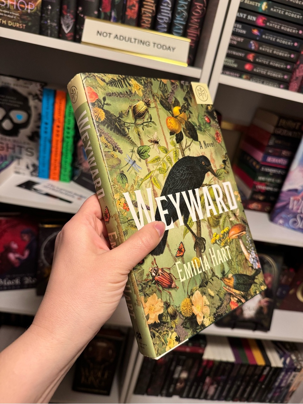 BOTM Weyward by Emilia Hart Hardcover